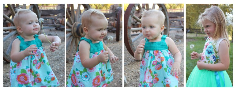 paisley with dandilion